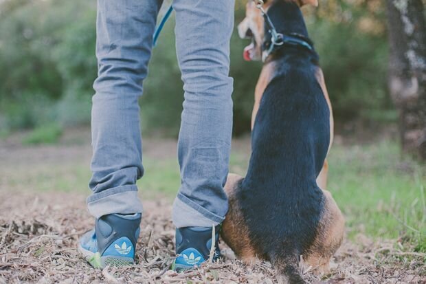 Bente Stockmans en hond